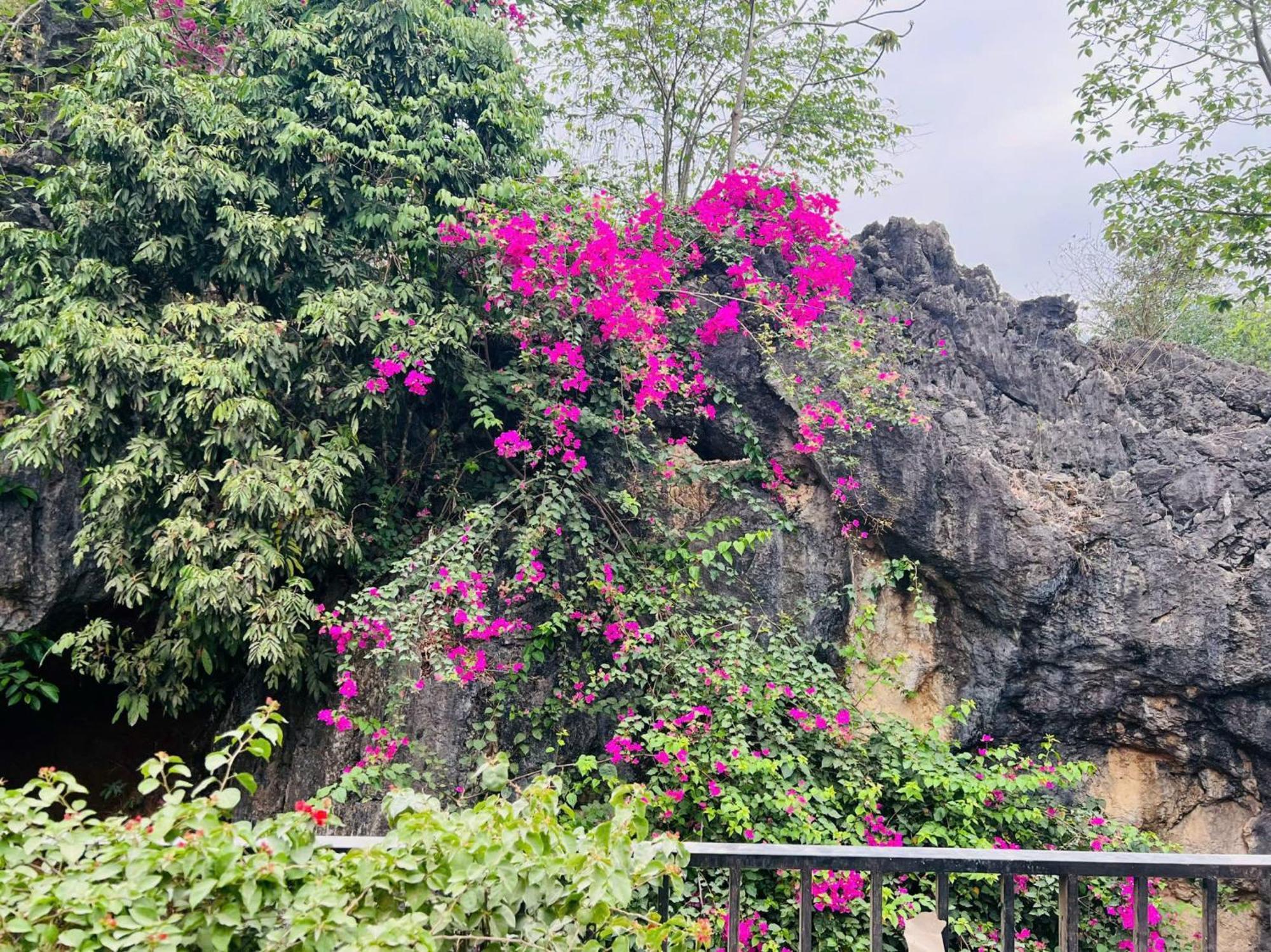 Mai Chau 4 Seasons Bungalow & Hotel Ngoại thất bức ảnh